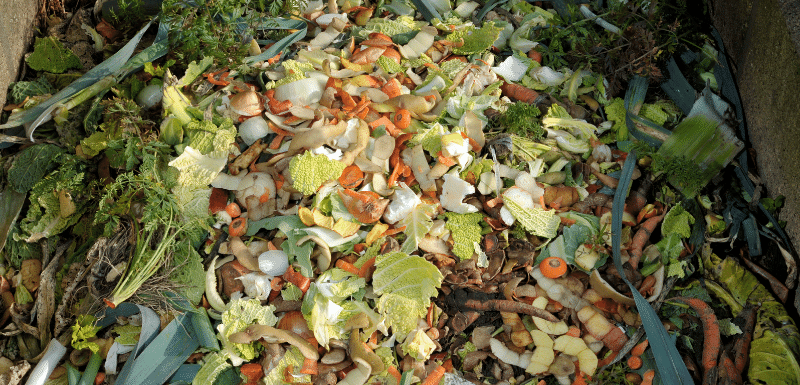 Image of food waste